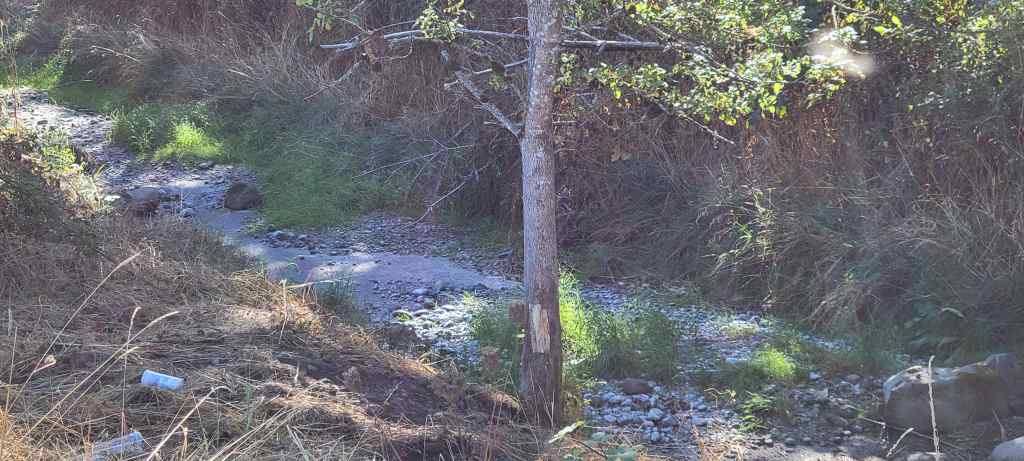 Clover Creek dry creek bed with trash.